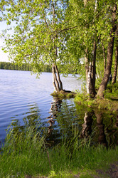 Similar image 455343