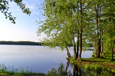 Similar image 455345