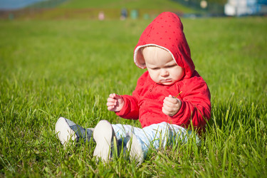 Similar image 455368