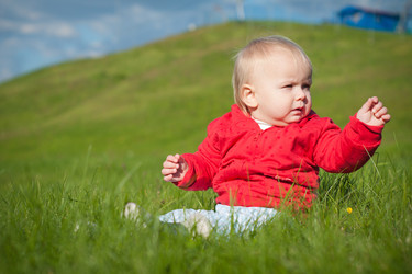 Similar image 455375