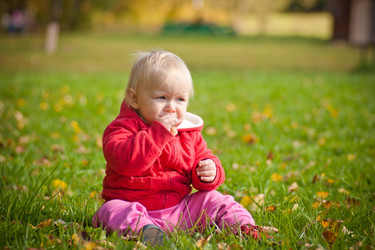 Similar image 455382