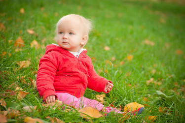 Similar image 455385