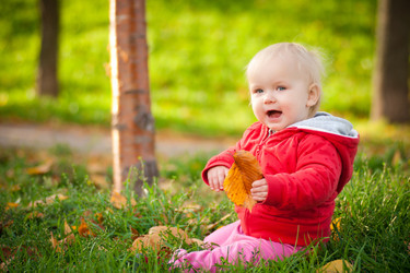 Similar image 455388