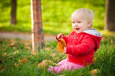 Similar image 455390