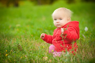 Similar image 455393