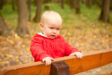 Similar image 455416