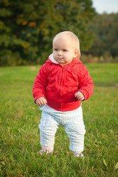 Similar image 455426