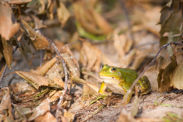 Similar image 455449