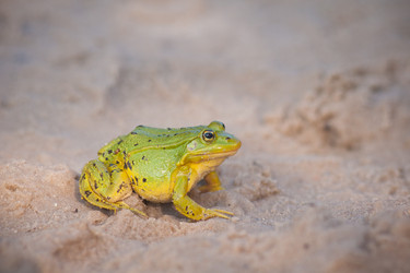 Similar image 455457