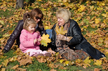 Similar image 455496