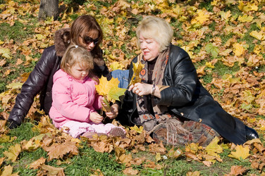 Similar image 455501