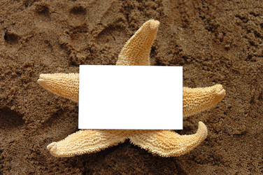 Similar image 455520