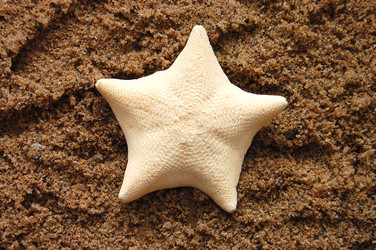 Similar image 455523