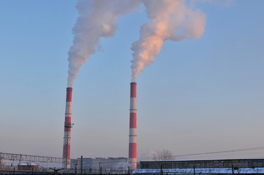 Similar image 455539