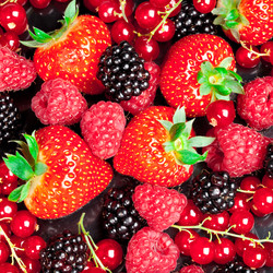 Similar image 455581