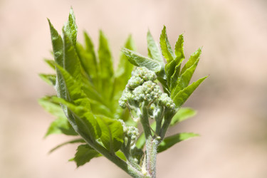 Similar image 455625