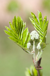 Similar image 455626