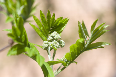 Similar image 455627