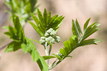 Similar image 455628