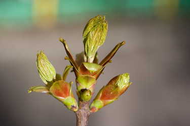 Similar image 455630