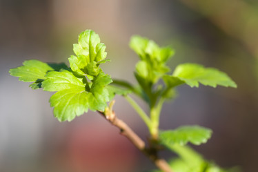 Similar image 455632