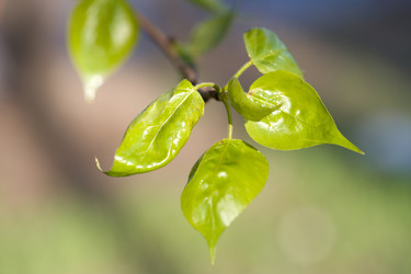 Similar image 455633