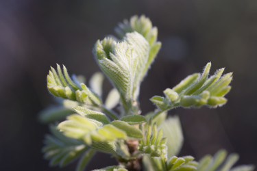 Similar image 455634