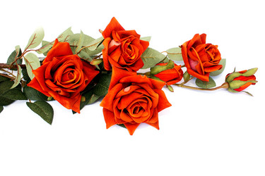 Similar image 455716