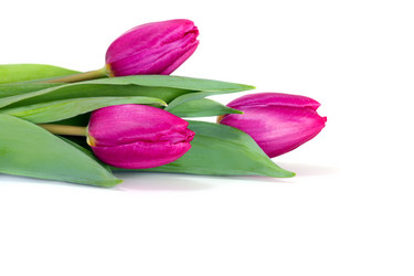 Similar image 455744