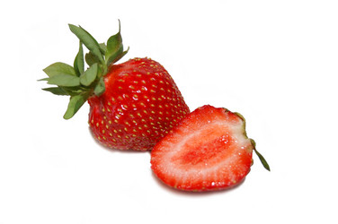 Similar image 455748