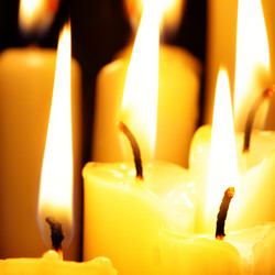 Similar image 455769