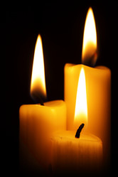 Similar image 455771