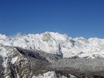 Similar image 455786