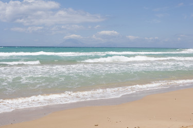 Similar image 455829