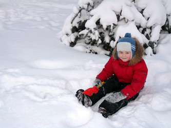 Similar image 455837