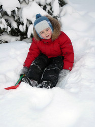 Similar image 455838