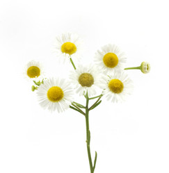 Similar image 455850