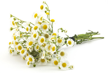 Similar image 455862