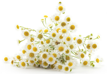 Similar image 455863