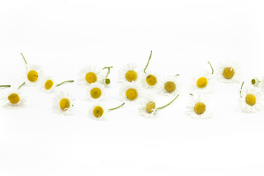 Similar image 455867