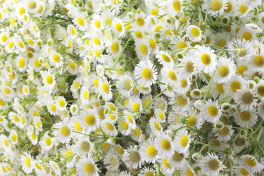 Similar image 455868