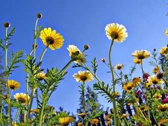 Similar image 455869