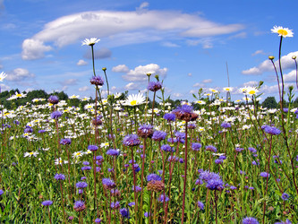 Similar image 455883