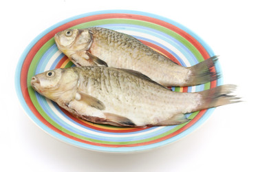 Similar image 455899