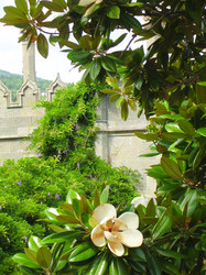 Similar image 455937