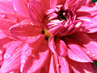 Similar image 455941