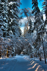 Similar image 455942