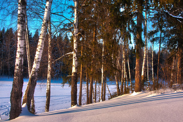 Similar image 455944