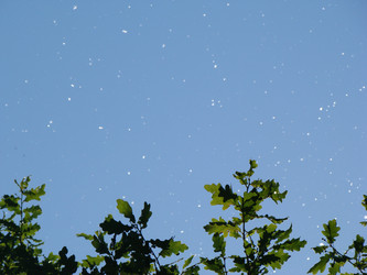 Similar image 455950