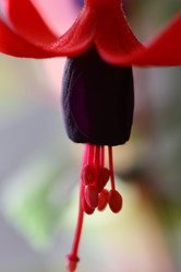 Similar image 455960